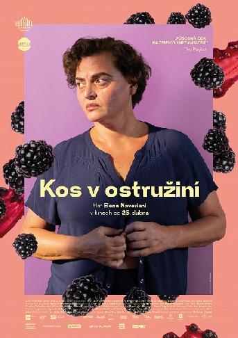 KOS V OSTRUŽINÍ - Filmový klub