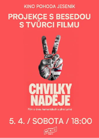 CHVILKY NADĚJE  projekce s delegací