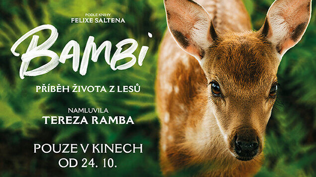 bambi-pribeh-zivota-z-lesu.812544588.jpg